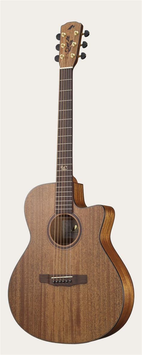 Image result for Morris Guitar