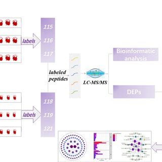 Flow Diagram Maker for Experiment APA に対する画像結果