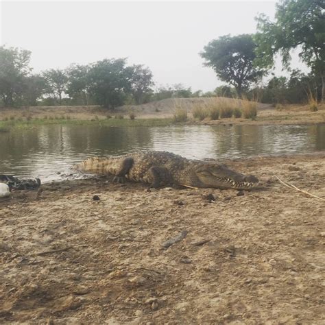 Source Code Lab に対する画像結果