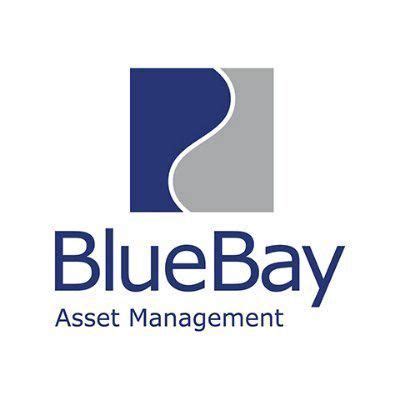 Image result for Asset Ripper Alternative