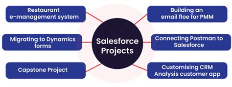 Salesforce Developer Real-Time Projects に対する画像結果