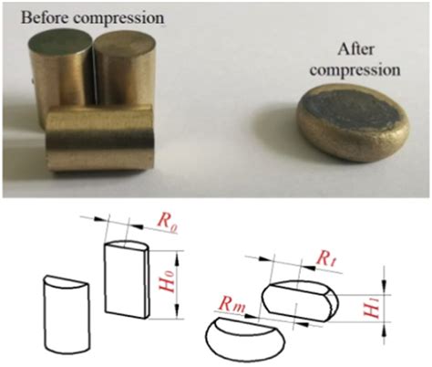 Image result for Compression Force Diagram