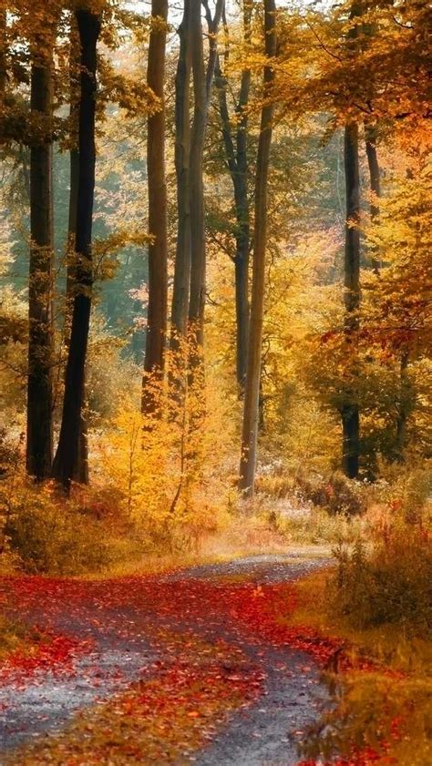 Image result for Computer Desktop Wallpaper HD