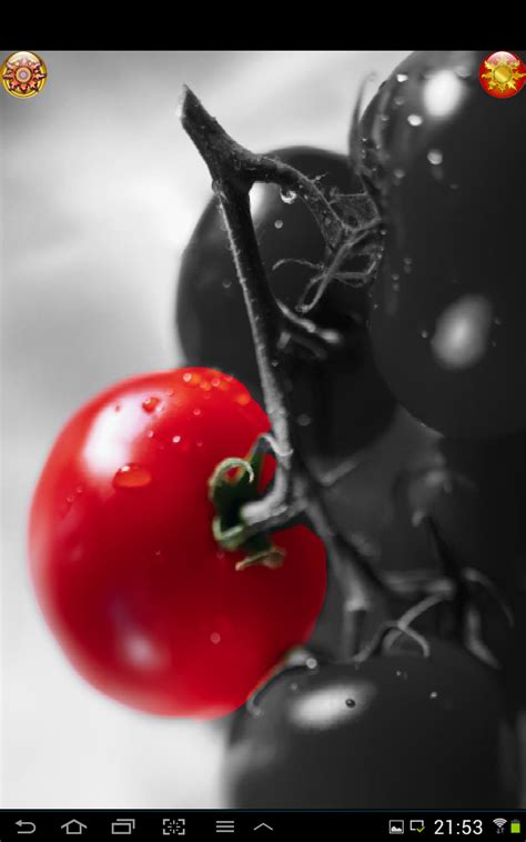 Image result for Doodle Game in Scratch