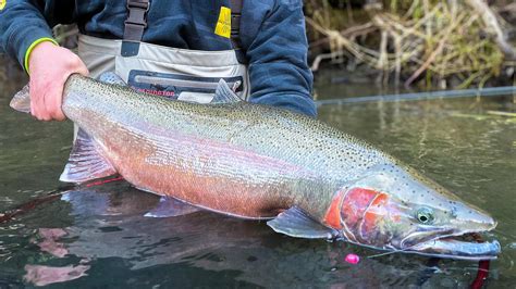 Fishing Hook Logo के लिए छवि परिणाम