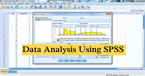 Toradh íomhá ar SPSS Data Analysis Application