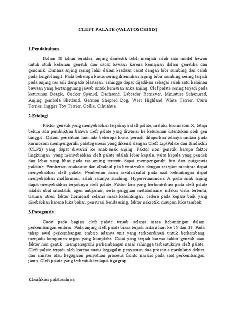 Image result for Palatoschisis Types