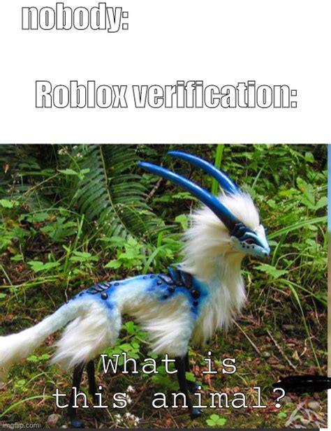 Image result for Roblox Animal Verification