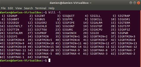 Image result for Kill Command Linux