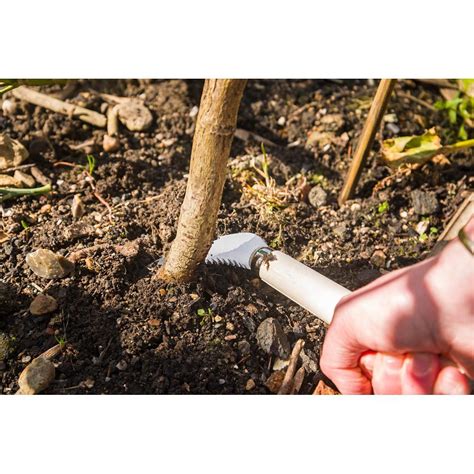 Apothecary Tools Root Cutter に対する画像結果