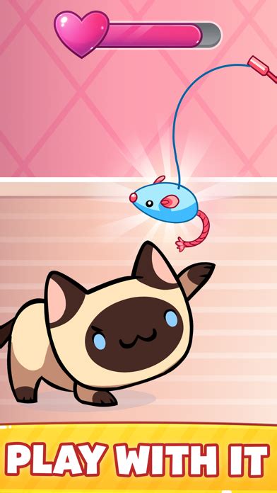 Toradh íomhá ar Mm2 Coin Collector Hack