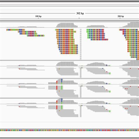 Toradh íomhá ar Contig Alignment Diagram