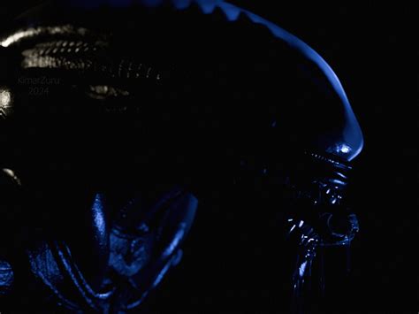 Image result for Xenomorph 3D Art Reference