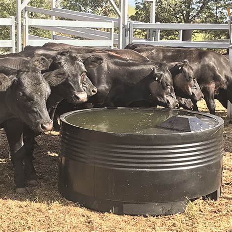 Image result for Connecting Water Trough in Field