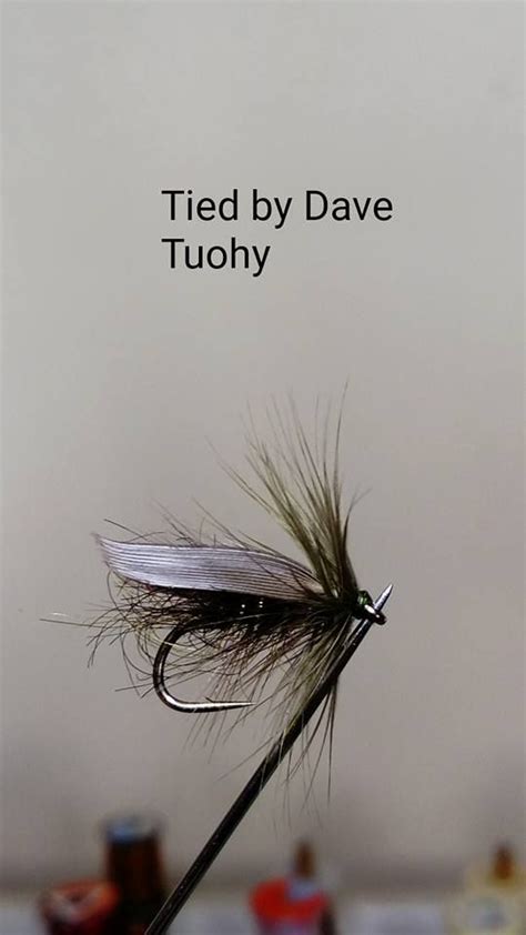 Image result for Beautiful Fly Tying Patterns