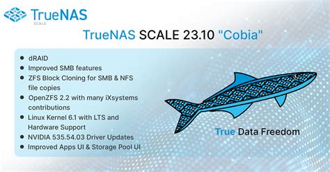 Image result for TrueNAS Scale Habridge