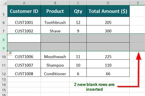 Toradh íomhá ar Insert Data in Excel