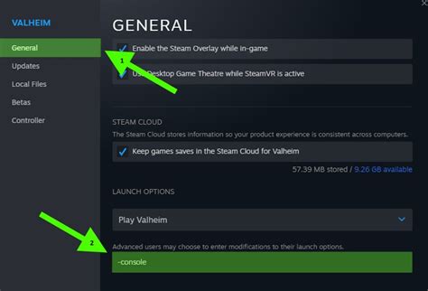 Afbeeldingsresultaten voor How to Open Console in Theif Sim