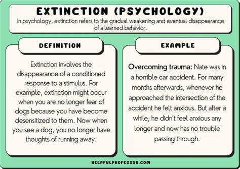 Image result for Extinction in ABA Visual Chart