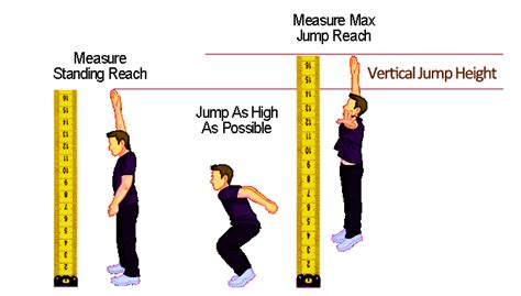 Image result for Vertical Jump Acceleration Diagram