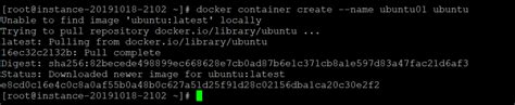 Docker Create Ubuntu Container Command に対する画像結果
