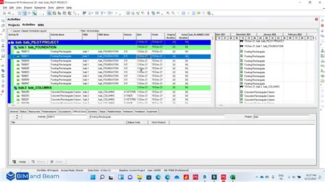 Toradh íomhá ar Application of Primavera P6