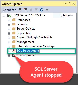 Image result for SQL Server Agent Red Dot