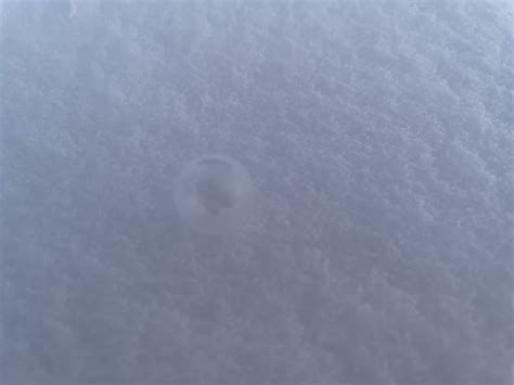 تصویر کا نتیجہ برائے Robert Mahone O'Reilly