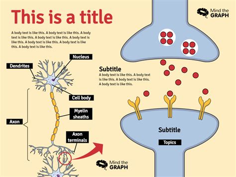 Making a Graphical Abstract に対する画像結果