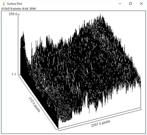 Image result for ImageJ Plot Profile Stack