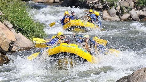 Cool Things You Can Do in Python에 대한 이미지 결과