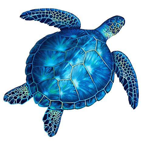 Turtle PNG に対する画像結果