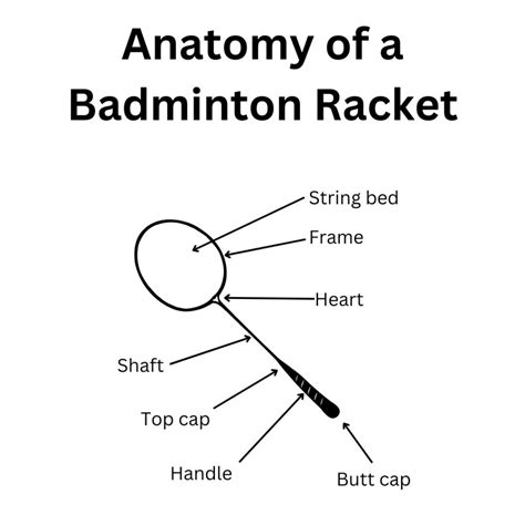 Image result for Badminton Racket Displayer