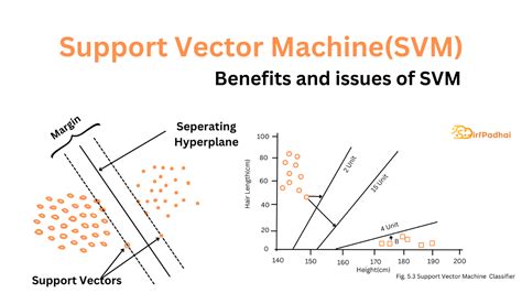 Image result for Support Vector Machine Branf