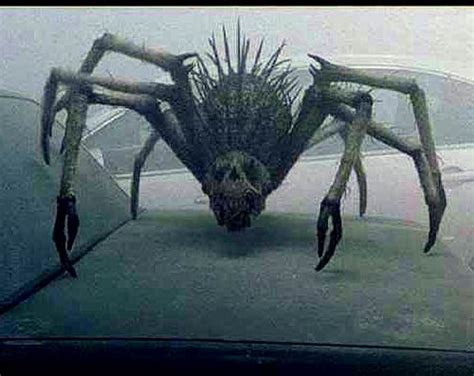 Image result for 9 Movie Creatures