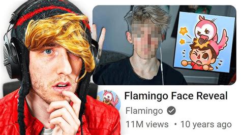 Image result for Flamingo YT Face