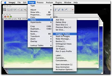Image result for ImageJ Plot Profile Stack