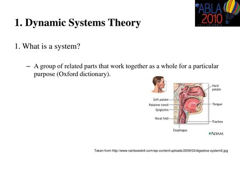 Image result for Example of Dynamic Systems Theory