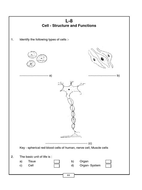 Image result for Cell Structure and Function Class 8 PDF
