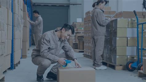 Protus に対する画像結果