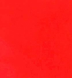 Color Wonder Products に対する画像結果