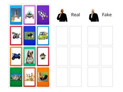 Image result for Fake and Real Project