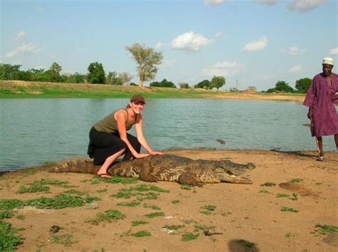 Source Code Lab に対する画像結果