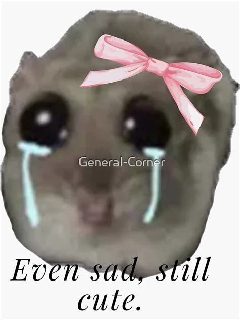 Image result for Sad Hamster Meme
