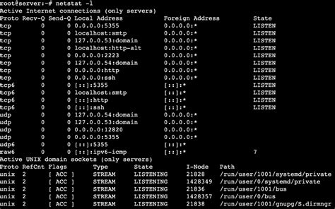 Netstat Command Linux에 대한 이미지 결과