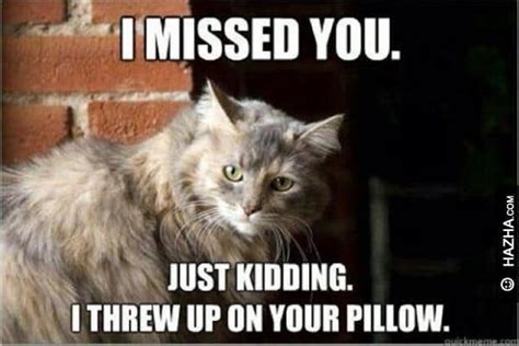 Crying Miss You Meme に対する画像結果