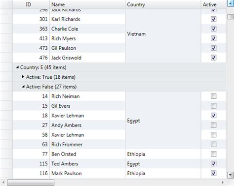 Image result for WPF DataGrid Layout