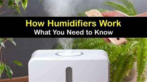 Toradh íomhá ar How to Use a Humidifier Properly