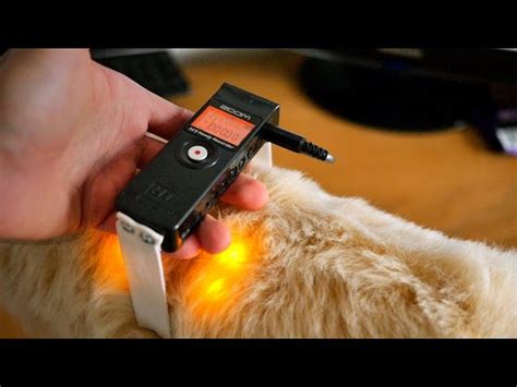 Image result for DIY Rode Mic