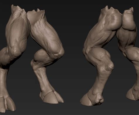 Image result for Creature Legs Reference 3D Model